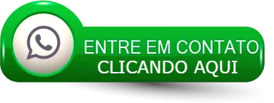 entre em contato com a Bahia Motors 